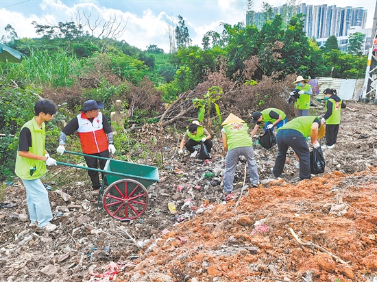 鶴山市青年志愿者分工明確，高效清理屬地垃圾。