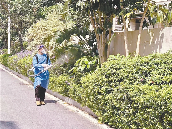 江門市江華小學(xué)對校園內(nèi)外進(jìn)行蚊蟲消殺。