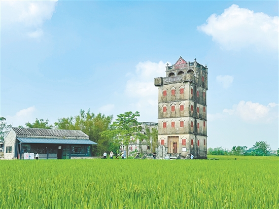 圖為開平碉樓自力村景區(qū)。