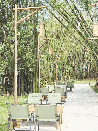 竹林+咖啡 竹林+咖啡