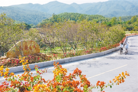 村道漂亮了，不少騎友從沙坪騎行到城西村，呼吸這里清新的空氣。