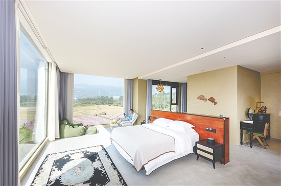 小新民宿與叢林、稻田、大山等自然景觀融為一體，讓游客最大限度感受自然的魅力。