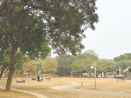 在恩平鰲峰山公園享受柔和暖陽。