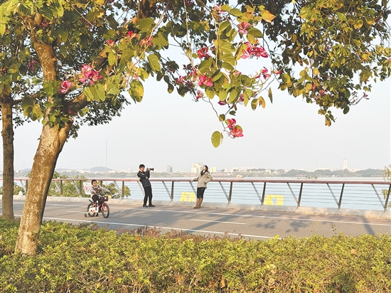 濱江綠道景致清幽，成為市民曬太陽的優(yōu)選之地。