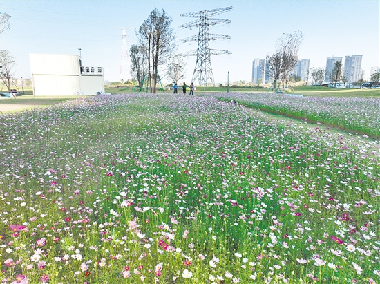 觀瀾湖公園的格?；êＮ忻袂皝泶蚩ā? border=