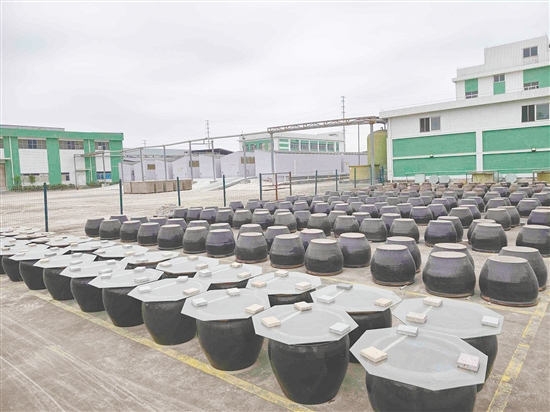 蘭花醬油制作遵循傳統(tǒng)工藝，曬池中的醬醅需歷經120多天露天生曬。