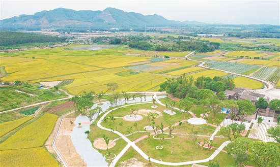 沖蔞鎮(zhèn)深入開展農(nóng)村人居環(huán)境整治，推進(jìn)“三清三拆三整治”，實(shí)現(xiàn)“拆后即建、拆建同步”，塑造特色鄉(xiāng)村風(fēng)貌。