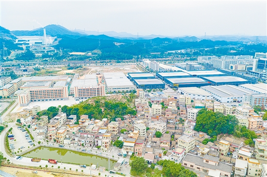 產(chǎn)業(yè)振興是鄉(xiāng)村振興的重中之重。棠下鎮(zhèn)蓮塘村主動融入蓬江產(chǎn)業(yè)園發(fā)展大局，通過“物業(yè)代建+返租”模式實(shí)現(xiàn)村集體經(jīng)濟(jì)與產(chǎn)業(yè)發(fā)展的互促雙贏。劉淑君