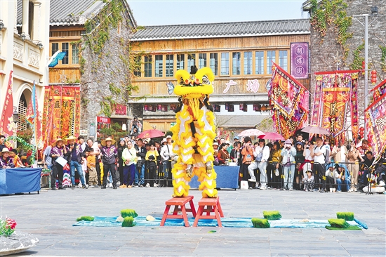 春節(jié)假期，鶴山市將非遺賽事、民俗活動(dòng)與新春年味深度融合，各地非遺活動(dòng)輪番登場(chǎng)，為馬年新春增添一抹亮麗的文化色彩。