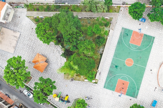 茶坑村將村內(nèi)荒地和廢舊屋舍改造成為休閑公園。