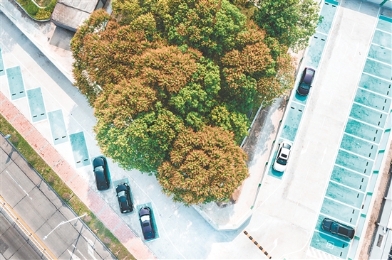 改造后的都斛主街既保留了城鎮(zhèn)煙火氣，又兼具現(xiàn)代宜居功能。這是都斛主街停車(chē)場(chǎng)。