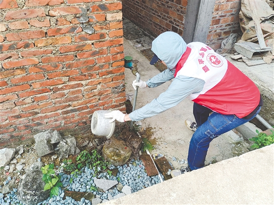 3月7日當(dāng)天，恩平市共有5495人參與愛國衛(wèi)生統(tǒng)一行動，清理垃圾53.1噸，清除衛(wèi)生黑點914處，清理各類積水3005個。