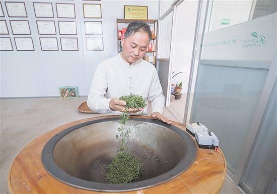 圖為3月10日，金華市非物質(zhì)文化遺產(chǎn)“武陽春雨制作技藝”代表性傳承人、全國技術(shù)能手鮑王棟在炒制今年首批“武陽春雨”春茶。
