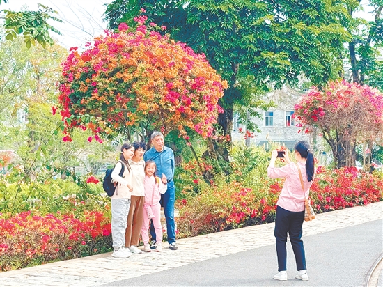 三月賞花游成江門旅游熱點。