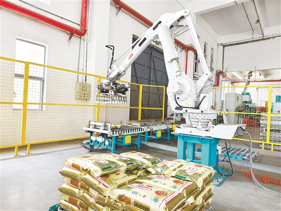 在珍香米業(yè)二期項(xiàng)目生產(chǎn)車間，一條現(xiàn)代化、全自動(dòng)加工線高效運(yùn)轉(zhuǎn)。