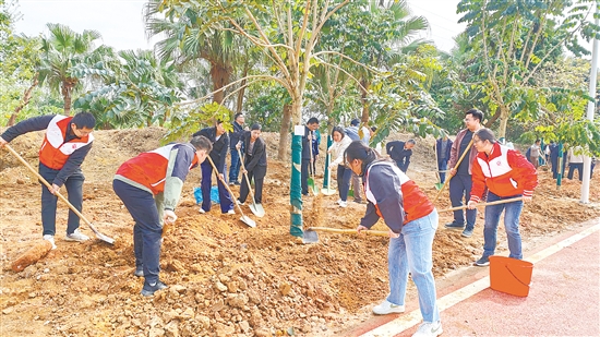 黨員、志愿者、群眾代表等默契配合，為臺山大地添上一抹新綠。