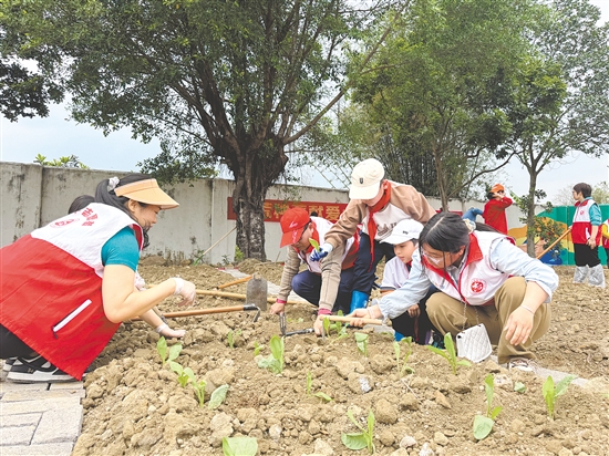 孩子和家長默契配合、分工協(xié)作，合力種下菜苗。
