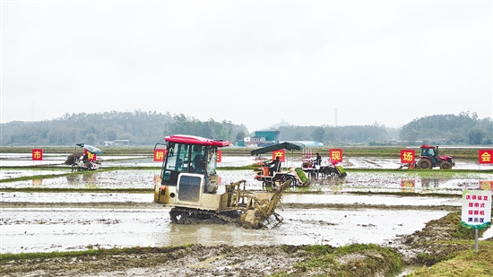 春耕生產(chǎn)現(xiàn)場會上，插秧機、拖拉機來回穿梭。
