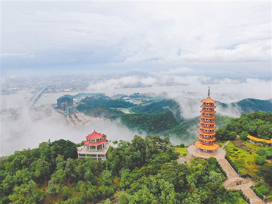 大雁山風(fēng)景區(qū)。吳兆民