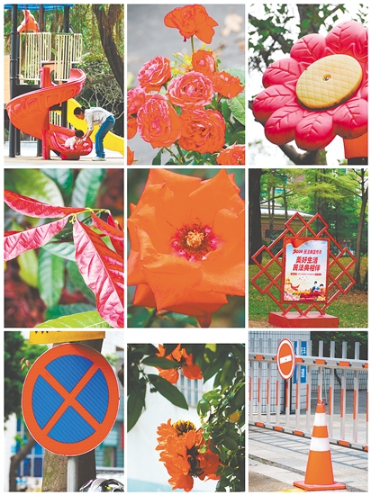 柑橘、屋頂、“雪糕筒”……在Color