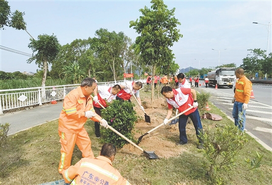 志愿者合力種下綠植。