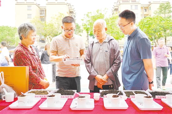 大眾評茶員根據(jù)外形、香氣、湯色、滋味和葉底五大維度，對茶樣進行評審。