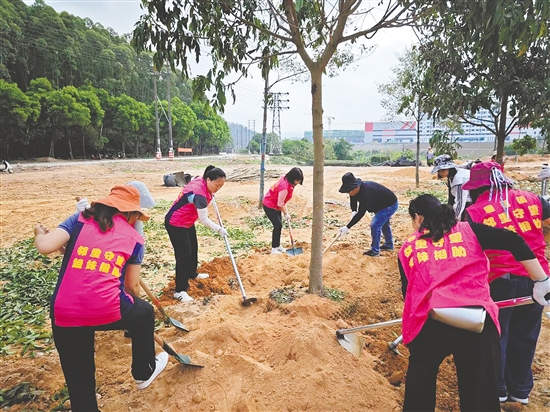 大家分工協(xié)作，種下新綠。