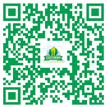 線上植樹 線上植樹