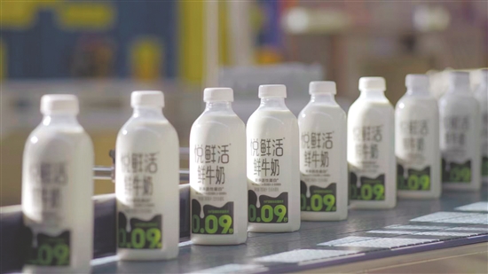 君樂寶“悅鮮活鮮牛奶”在廣東市場的占有率已達30%左右。