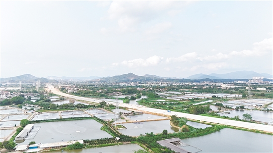 國道G240線主線建設(shè)如火如荼，其中，途經(jīng)大澤鎮(zhèn)沿江村路段全長約2公里。
