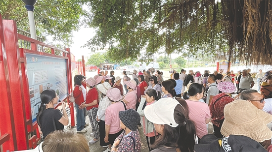 崖門鎮(zhèn)橫水村吸引大批灣區(qū)游客前來(lái)游玩、采購(gòu)農(nóng)產(chǎn)品。
