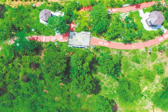綠意盎然的生態(tài)小公園。
