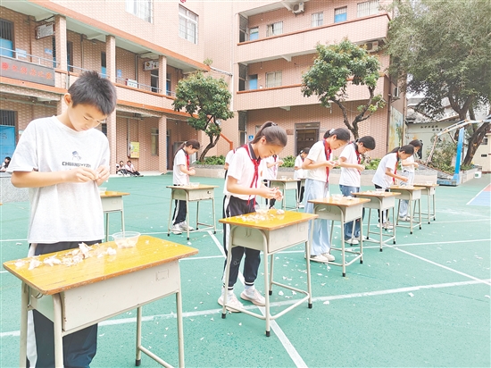 三、四年級舉行剝蒜比賽，小選手們捏松蒜衣，一點點撕去外皮，雪白飽滿的蒜瓣紛紛現(xiàn)身。
