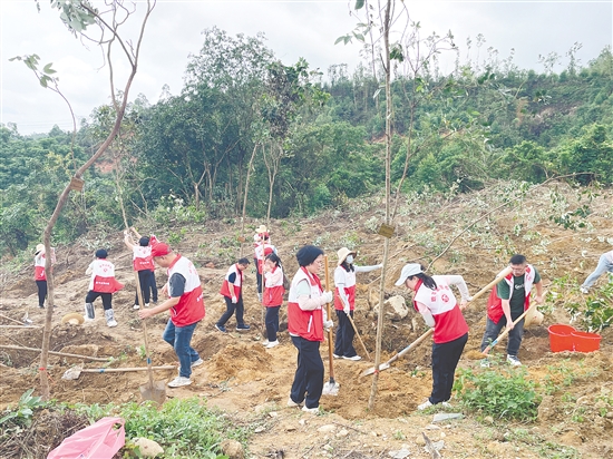 熱心市民植下一片新綠。
