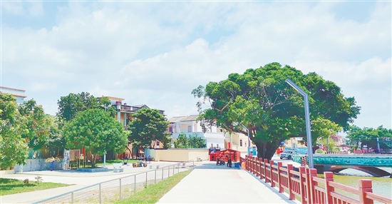 沙堆鎮(zhèn)打造精品綠化景觀路段，持續(xù)優(yōu)化鎮(zhèn)村生態(tài)風(fēng)貌。