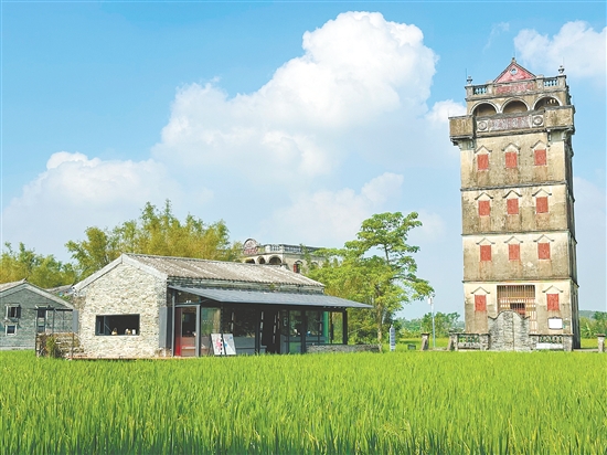 李現(xiàn)打卡的開平自力村碉樓群。