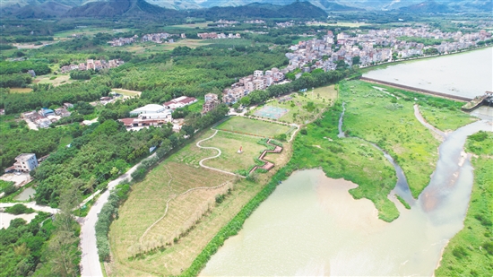 改造前綠美生態(tài)小公園