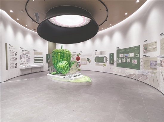 杜阮市場監(jiān)管所在杜阮涼瓜博覽館設立地理標志宣傳專區(qū)。