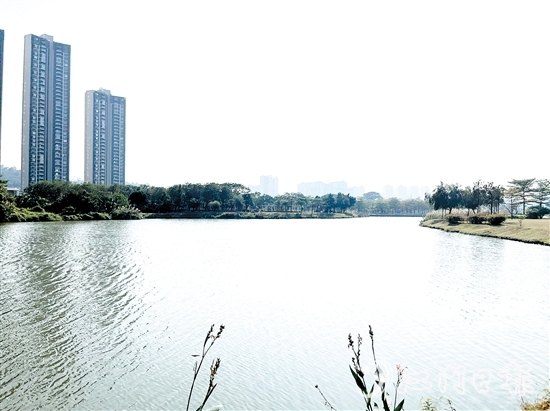 近年來，江門居住環(huán)境越來越好。