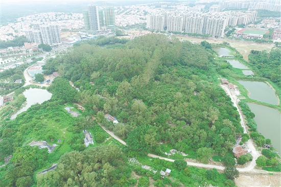 江門(mén)市JCR2025-188（臺(tái)山27）號(hào)地。