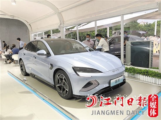 海豹外觀年輕運動。