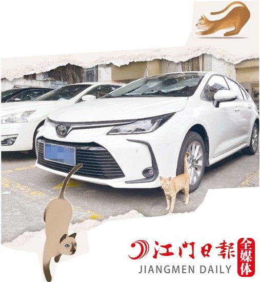 車(chē)主停車(chē)時(shí)，盡量減少停在流浪貓出沒(méi)的地方。